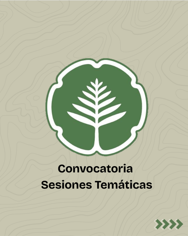 Sesiones temáticas