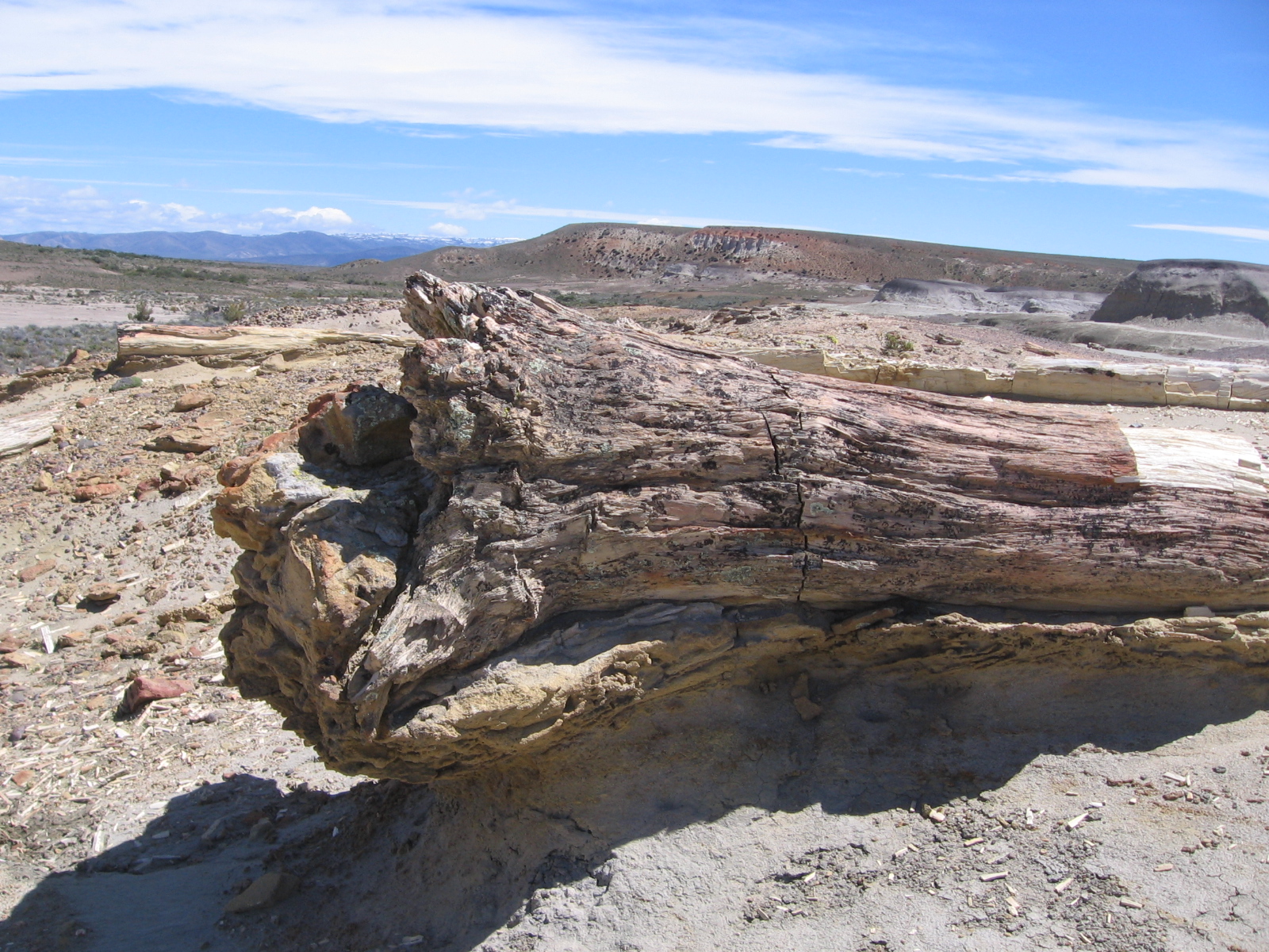 Cerro Colorado en el Bosque Petrificado de Sarmiento