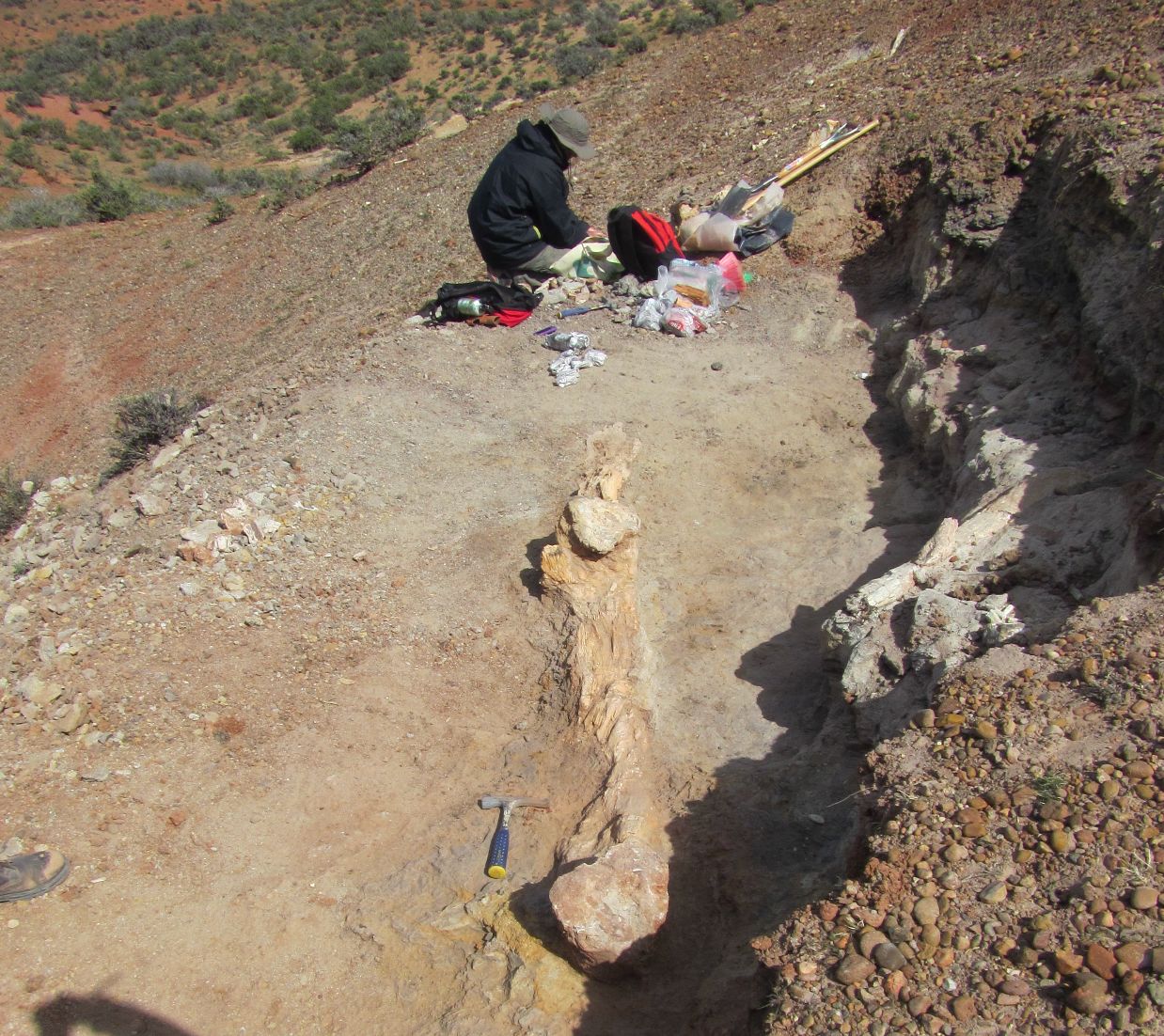 Excavación Formación Cerro Barcino