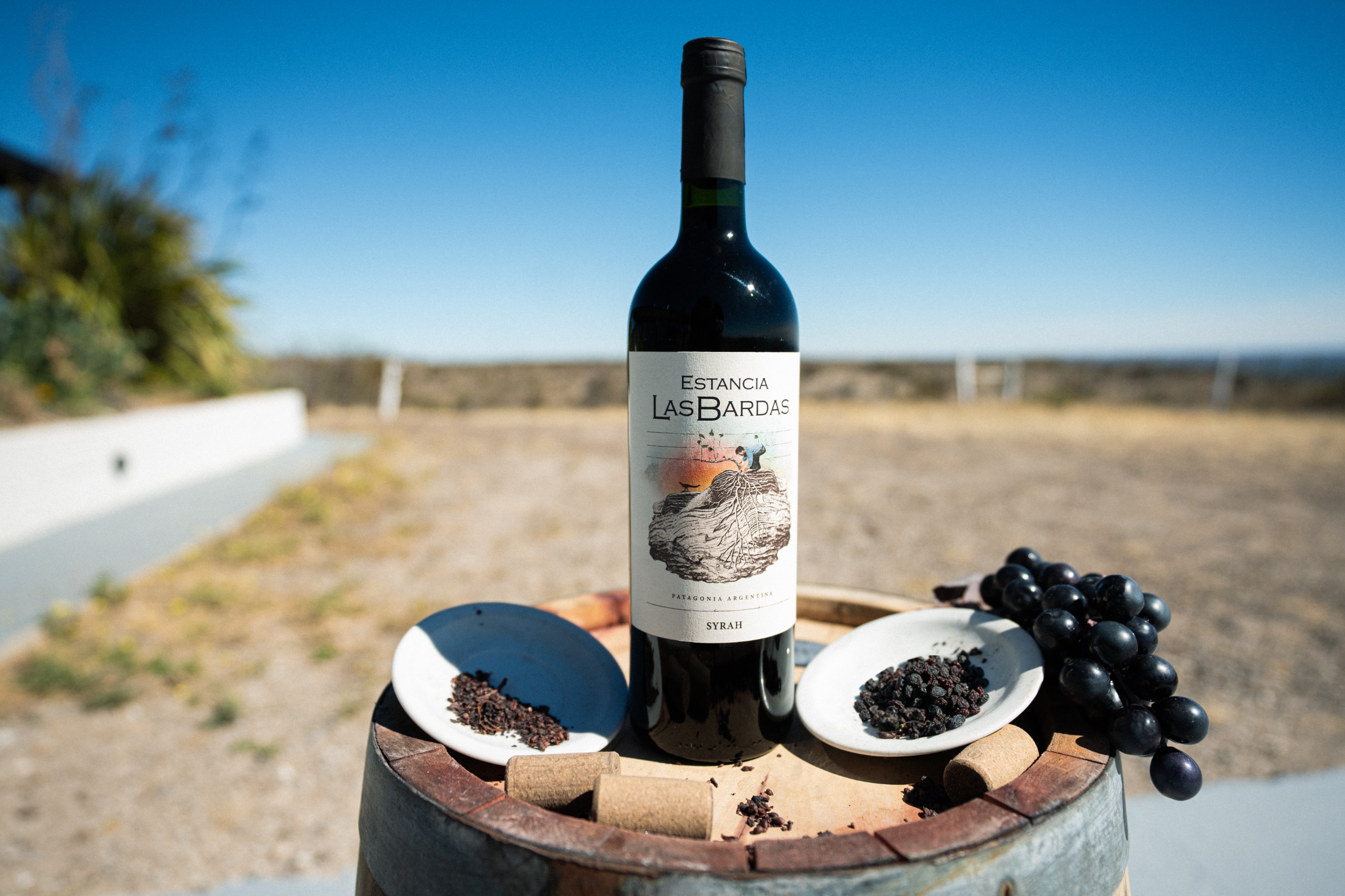 Vino y paisaje patagónico en Estancia Las Bardas