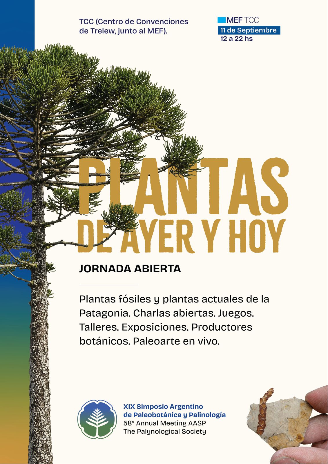 Cartel de la jornada abierta Plantas de ayer y de hoy
